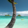 Quelle est la meilleure période pour une croisière à Tahiti ?
