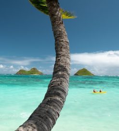 Quelle est la meilleure période pour une croisière à Tahiti ?