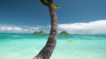 Quelle est la meilleure période pour une croisière à Tahiti ?